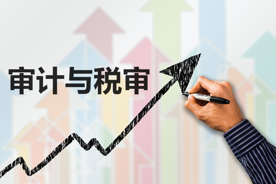 稅審報(bào)告和審計(jì)報(bào)告是什么？對(duì)企業(yè)有什么好處？兩者有什么區(qū)別