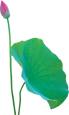 公司買的桶裝水，會(huì)計(jì)竟然錯(cuò)誤的計(jì)入“職工福利費(fèi)”！ 