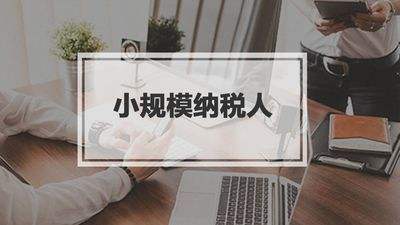 小規(guī)模納稅人有銷無進(jìn)，未提供任何進(jìn)項(xiàng)將要嚴(yán)查！